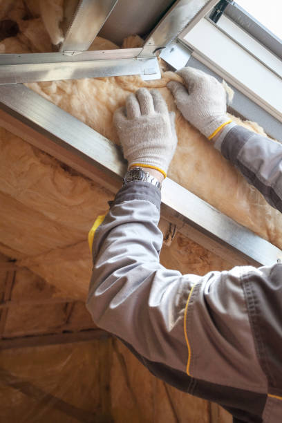 Best Residential Insulation in Curtice, OH